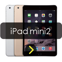 iPad mini2